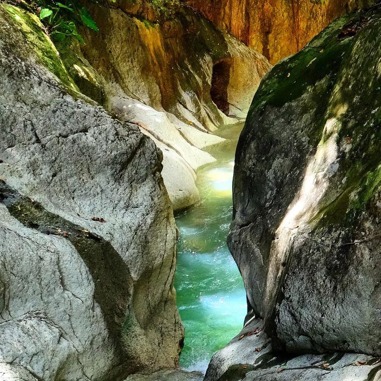 Mangoplaya Villa Deshaies Dış mekan fotoğraf