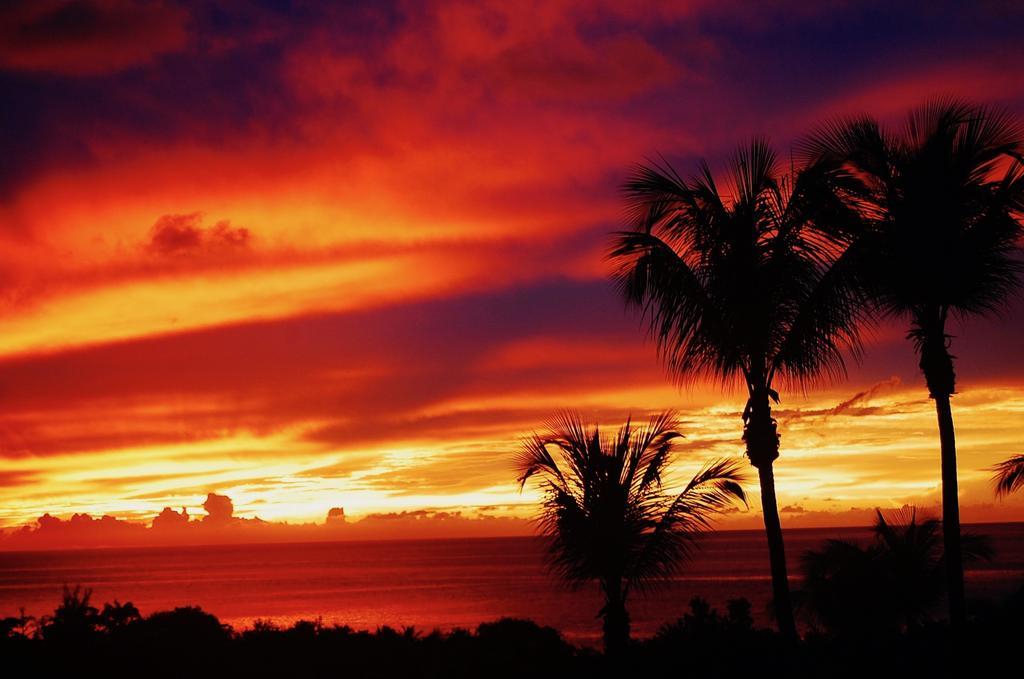 Mangoplaya Villa Deshaies Dış mekan fotoğraf