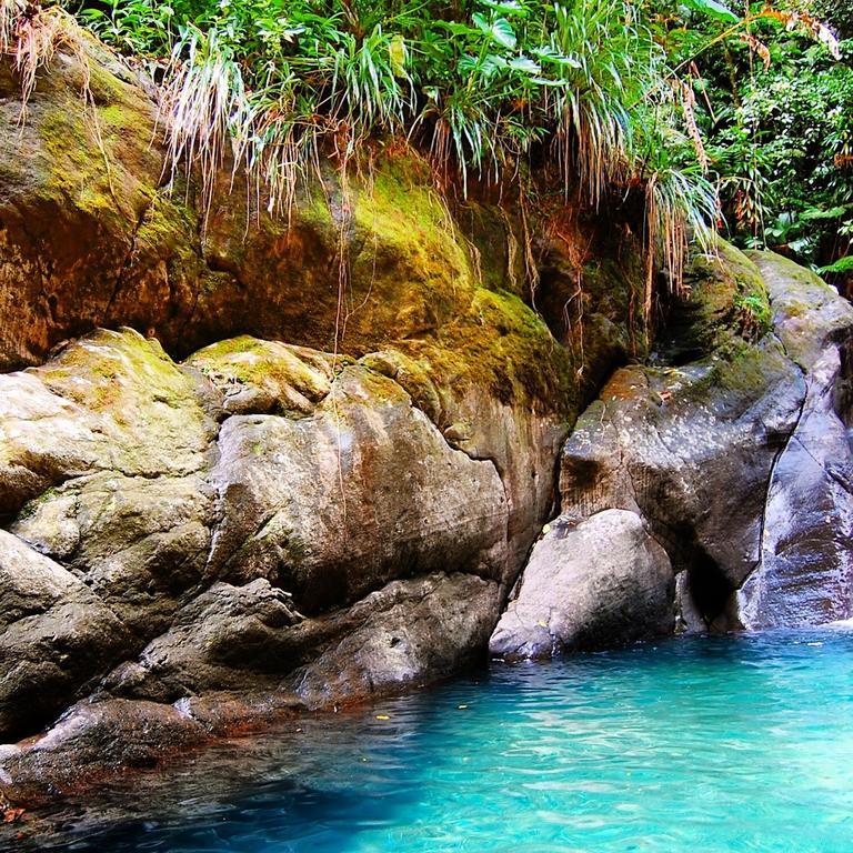 Mangoplaya Villa Deshaies Dış mekan fotoğraf