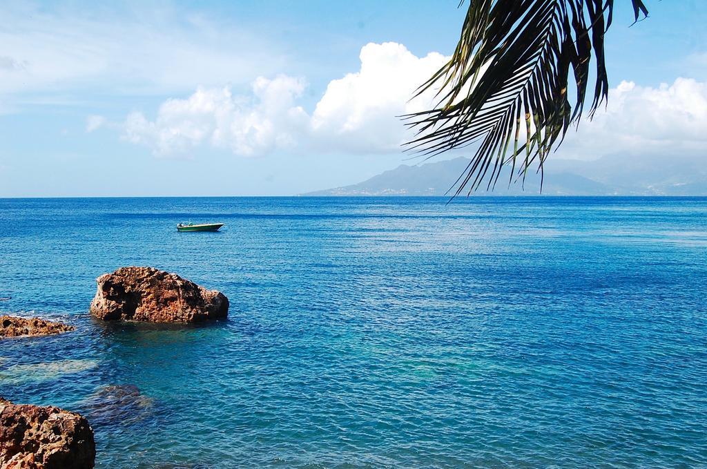 Mangoplaya Villa Deshaies Dış mekan fotoğraf
